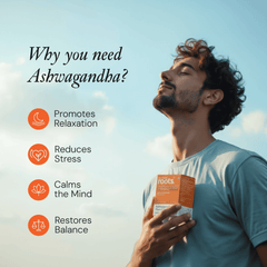 ASHWAGANDHA ROOT EXTRACT