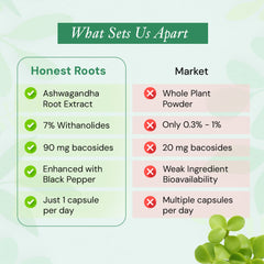 MIND & MEMORY CAPSULES