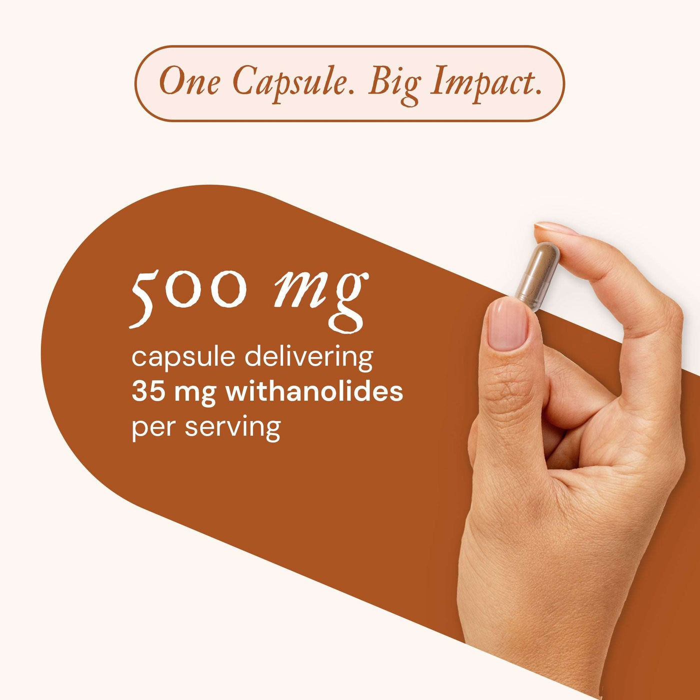ASHWAGANDHA ROOT EXTRACT